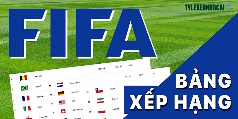 BXH bóng đá - Nơi thể hiện chi tiết điểm số và năng lực các đội bóng