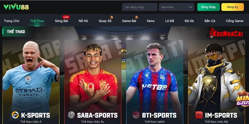 Hầu hết người chơi đều hài lòng với trải nghiệm tại VIVU88 Hầu hết người chơi đều hài lòng với trải nghiệm tại VIVU88