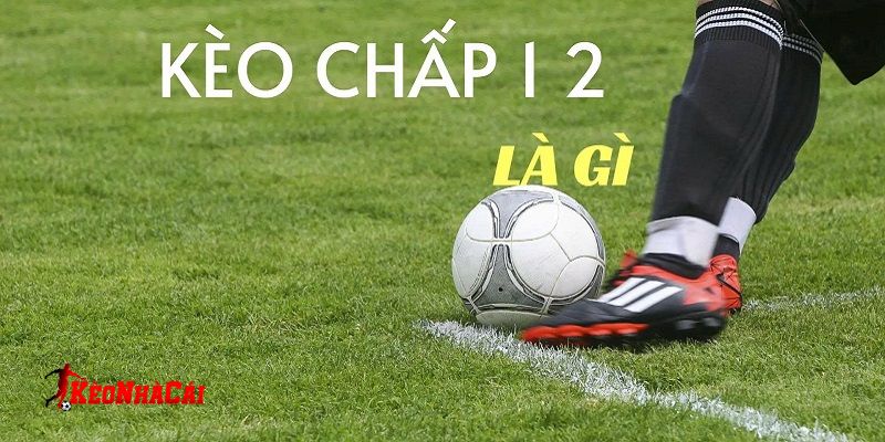 Kèo bóng đá 1/2 - Bài toán thú vị với cược thủ Kèo bóng đá 1/2 - Bài toán thú vị với cược thủ