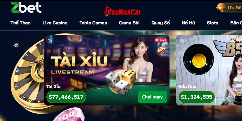 Mọi cổng game đều có mặt tốt và mặt hạn chế riêng Mọi cổng game đều có mặt tốt và mặt hạn chế riêng