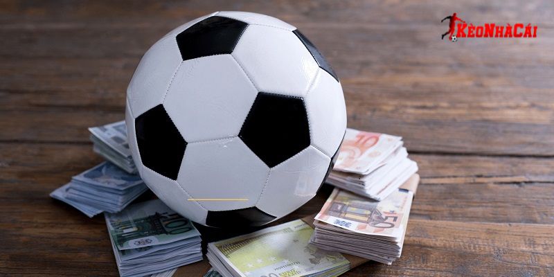 Người chơi cần nắm rõ các quy định để tham gia hiệu quả hơn