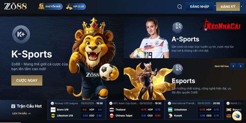 ZO88 - Tân binh đáng gờm trên thị trường hiện nay